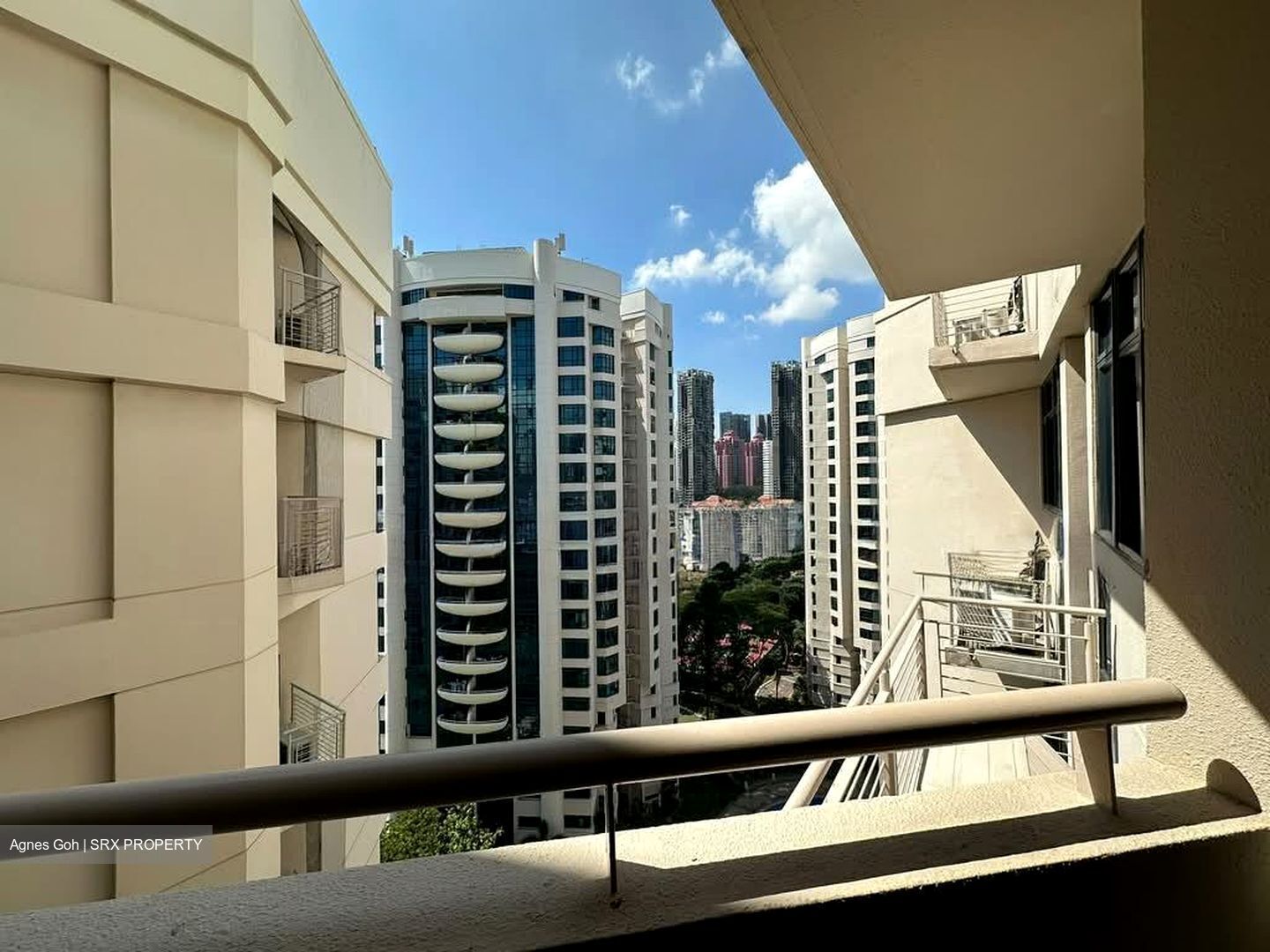 Valley Park (D10), Condominium #588872091